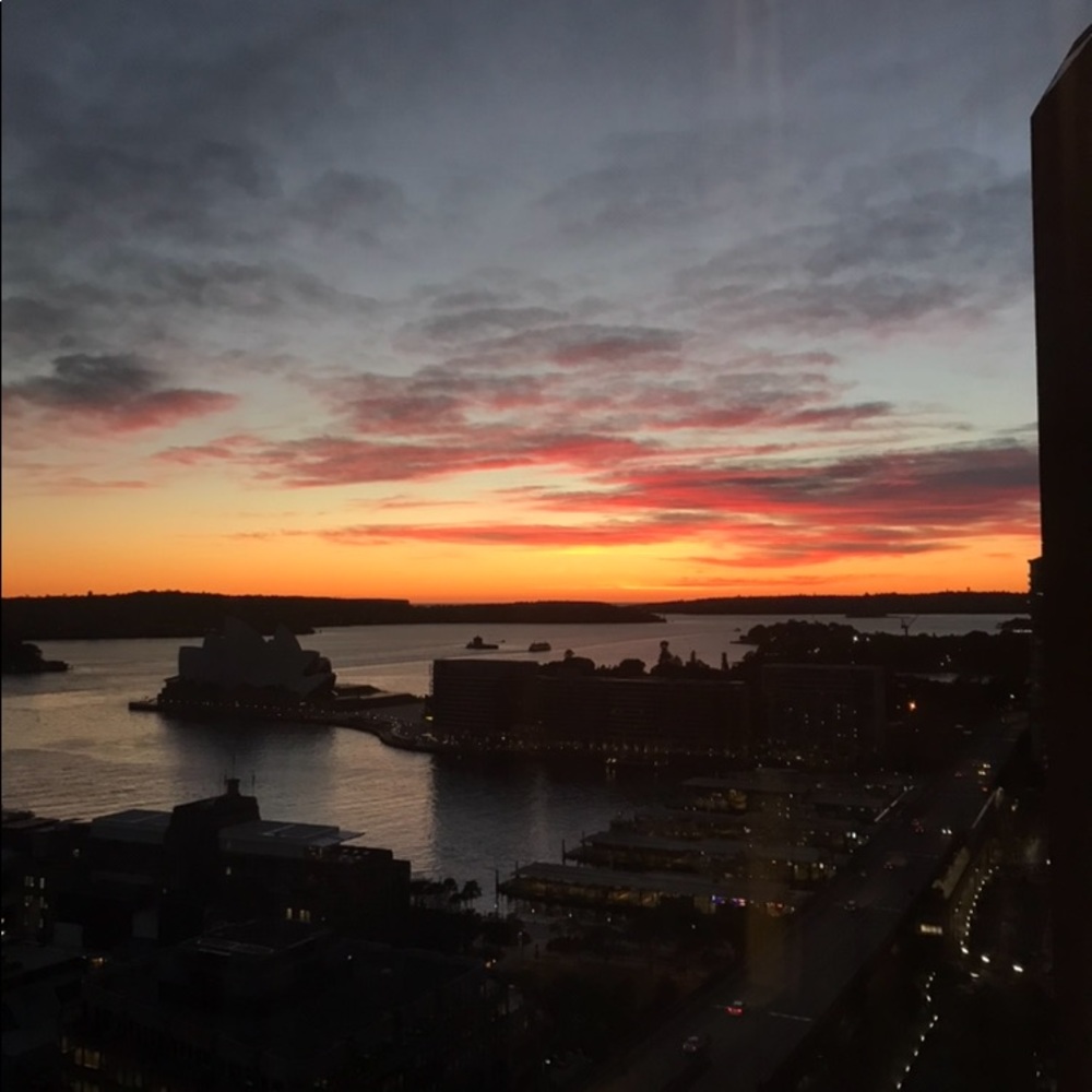 Meet your Posher, Sadie